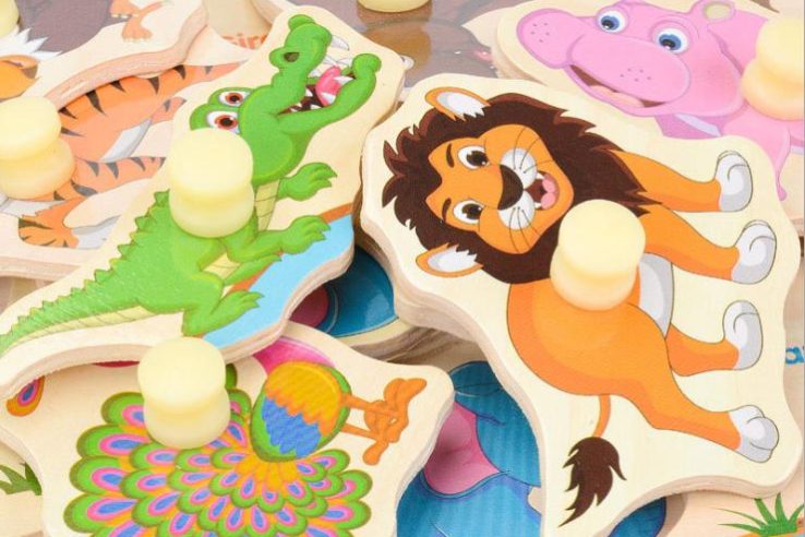 Factory Wooden Puzzle (5)