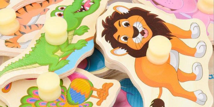 Factory Wooden Puzzle (5)