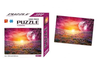 High quality puzzle boxes (1)_副本