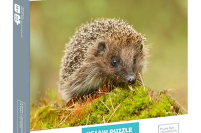 Puzzle Box manufacture (1)_副本