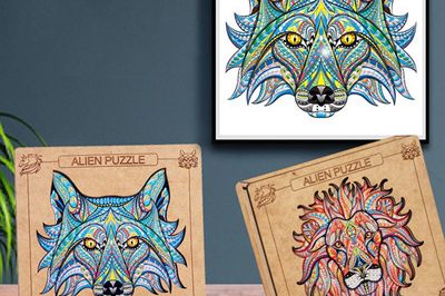 Wooden Puzzle wholesale (1)_副本