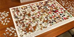 jigsaw puzzle (29)